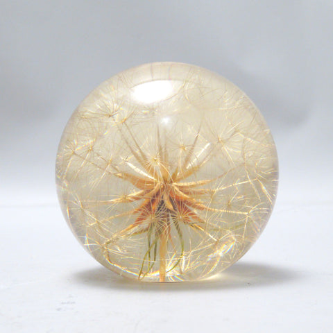 Boule presse-papier en résine à inclusion végétale Années 70