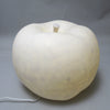 Lampe Pomme en resine et poudre de marbre dans le gout André Cazenave Lampe Pomme en resine et poudre de marbre dans le gout André Cazenave