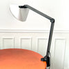 Lampe articulée Zeta Franco Mirendi Valenti 1978 Lampe articulée Zeta Franco Mirendi Valenti 1978