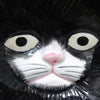 Vide poche Chat timide circa 1980