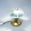 Paire de lampes fleurs Sische Glass Années 60